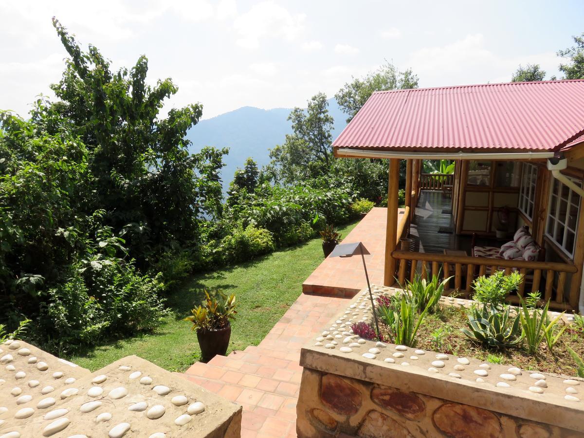 Nkuringo Bwindi Gorilla Lodge 外观 照片