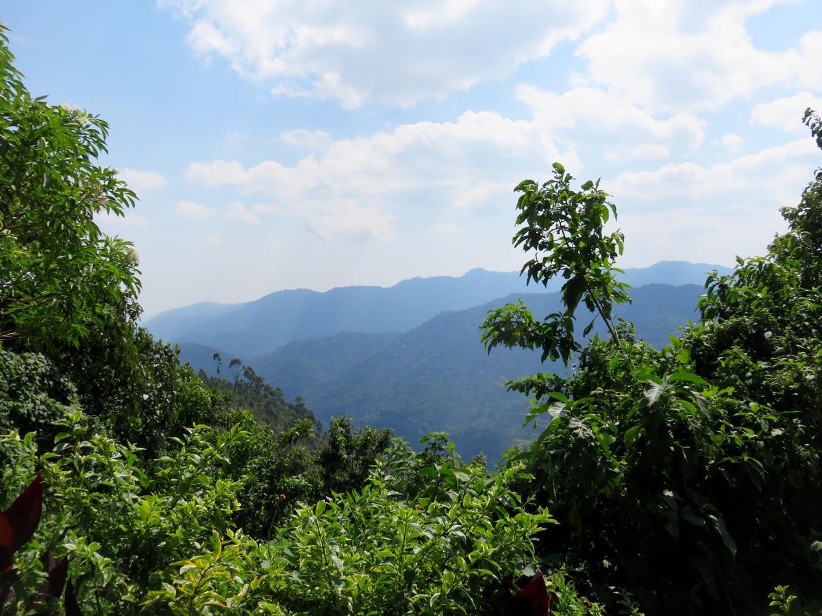 Nkuringo Bwindi Gorilla Lodge 外观 照片