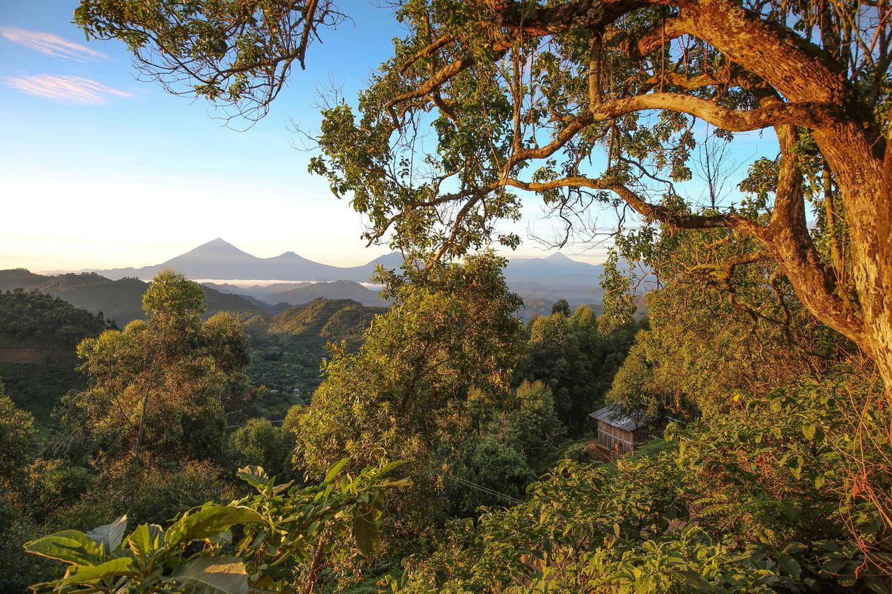 Nkuringo Bwindi Gorilla Lodge 外观 照片