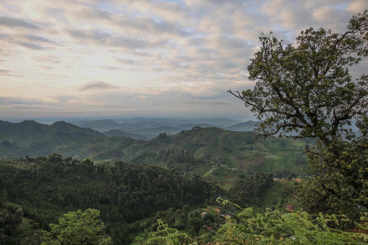 Nkuringo Bwindi Gorilla Lodge 外观 照片