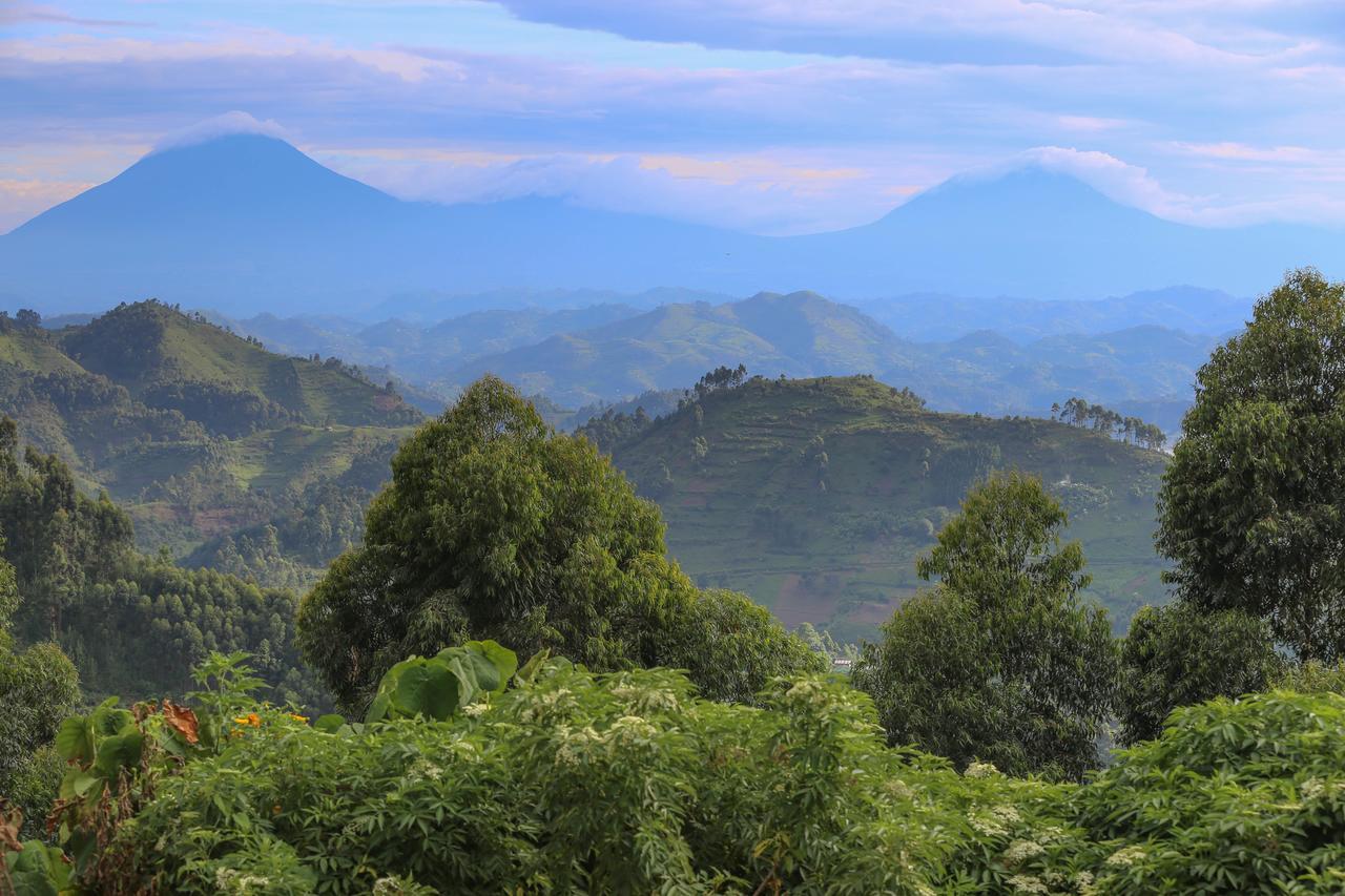 Nkuringo Bwindi Gorilla Lodge 外观 照片